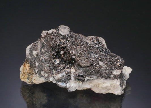 CC56036 specimen image