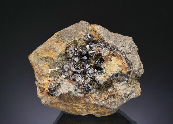 CC56052 specimen image