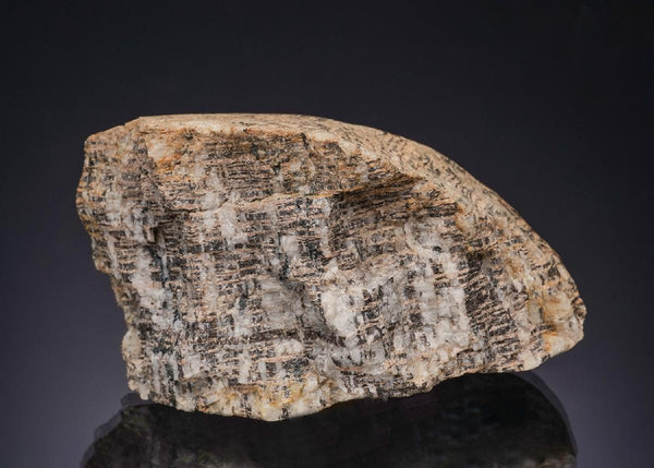 CC56068 specimen image