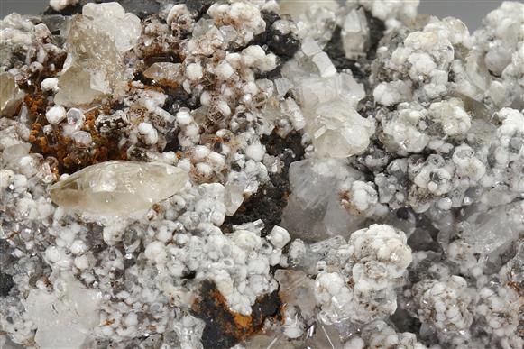 CC5610 specimen image