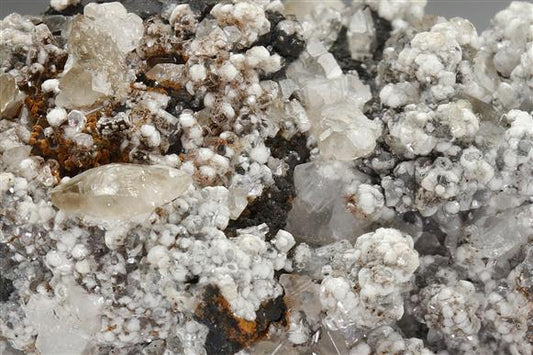 CC5610 specimen image