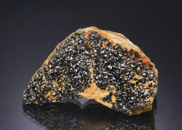 CC56108 specimen image