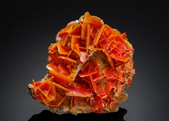 CC5611 specimen image