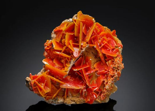 CC5611 specimen image
