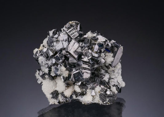 CC56148 specimen image