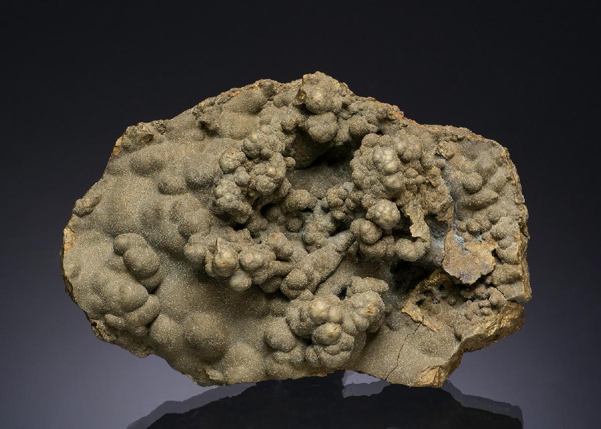 CC56160 specimen image