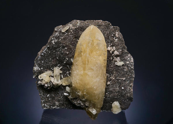 CC56176 specimen image