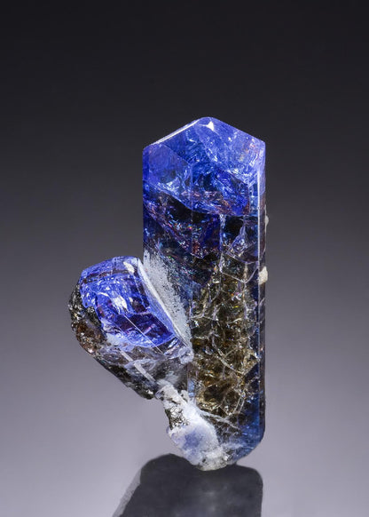 CC56188 specimen image