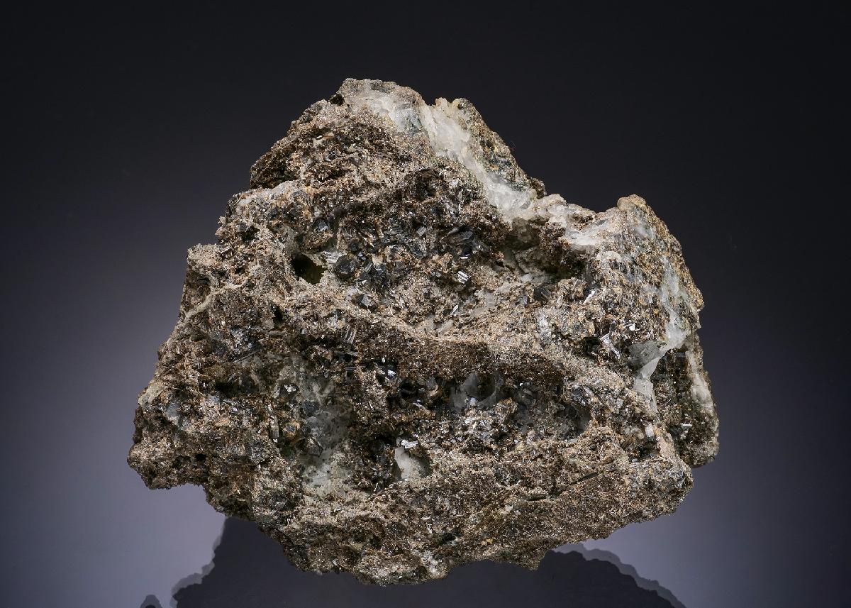 CC56192 specimen image