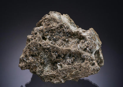 CC56192 specimen image