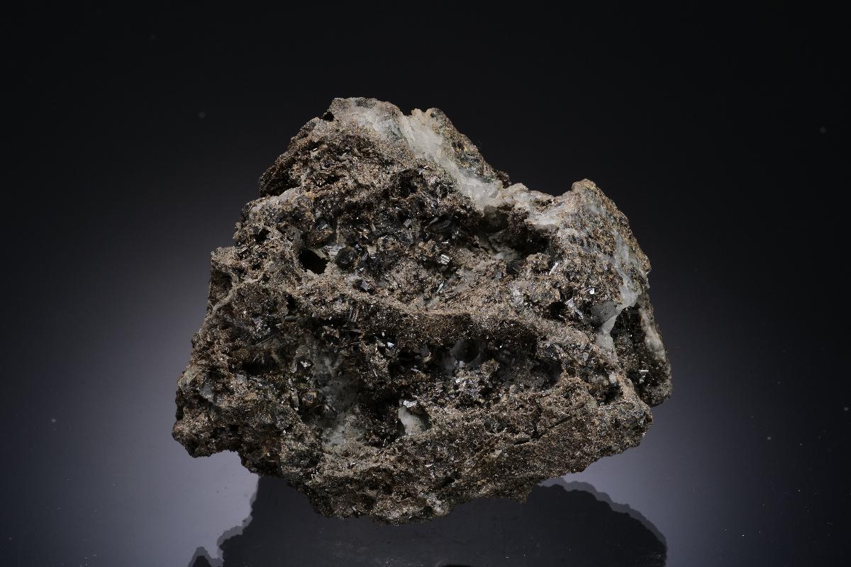 CC56192 specimen image