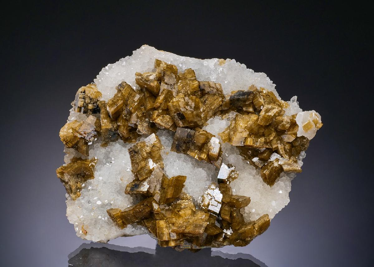 CC56194 specimen image