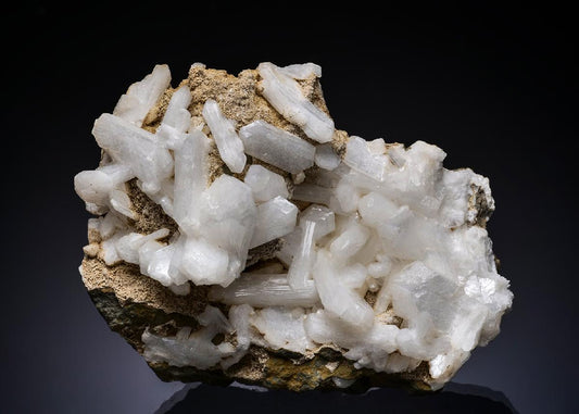 CC56198 specimen image