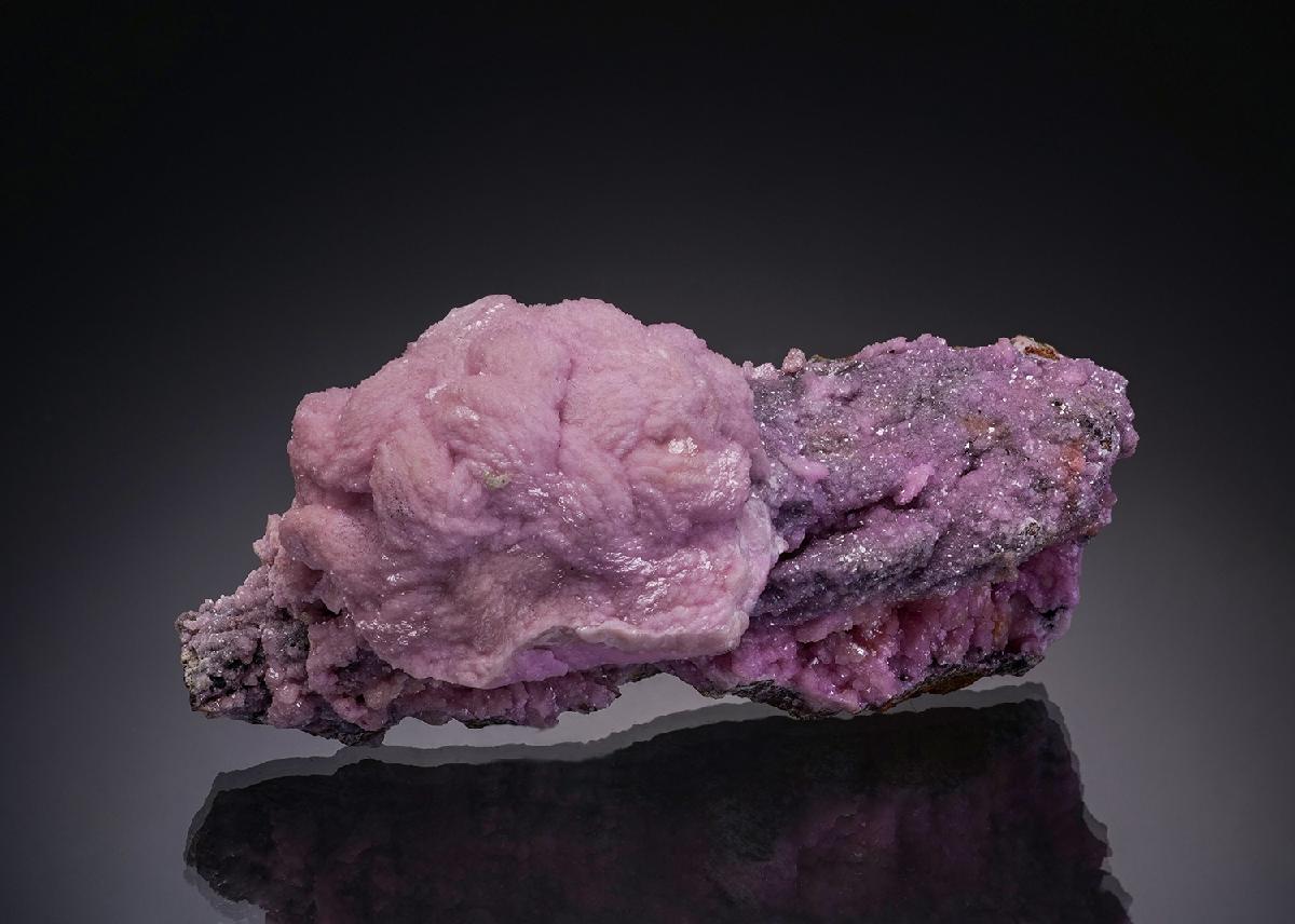CC5620 specimen image