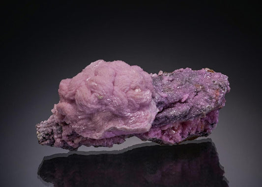 CC5620 specimen image