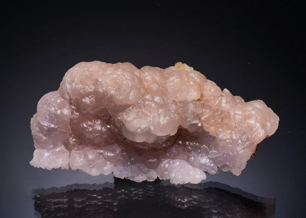 CC56200 specimen image