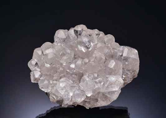 CC56230 specimen image