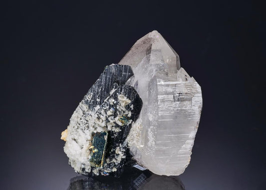 CC56232 specimen image