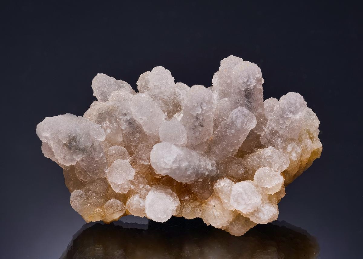 CC56234 specimen image