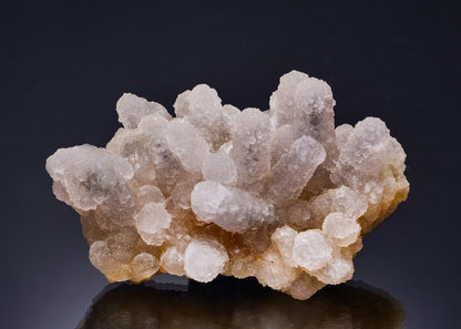 CC56234 specimen image