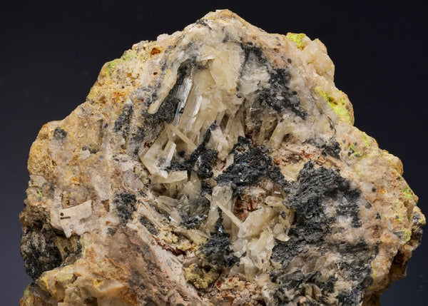 CC56246 specimen image