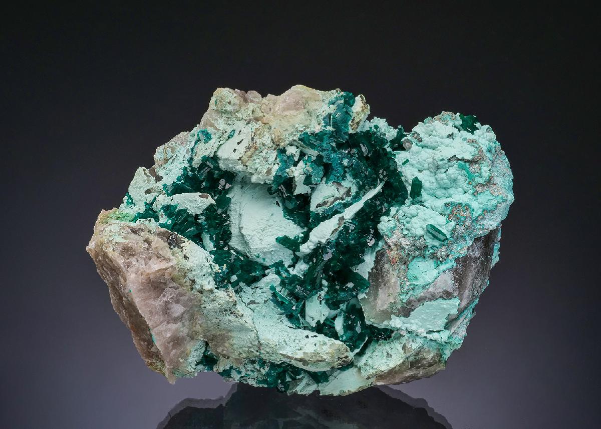 CC56252 specimen image