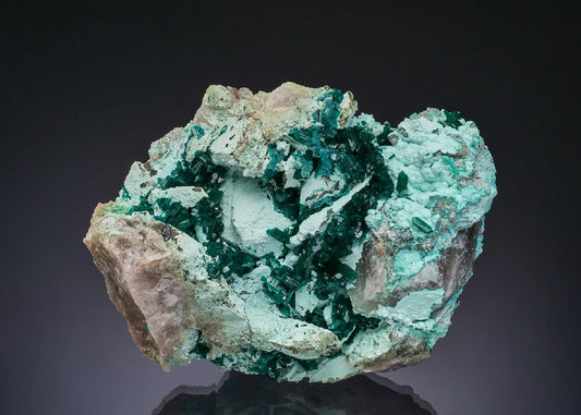 CC56252 specimen image