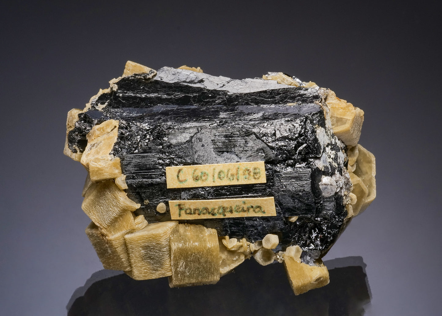SIDERITE with PYRITE on FERBERITE