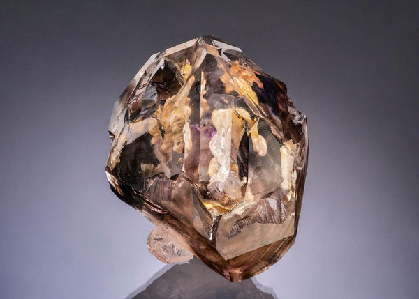 CC56256 specimen image