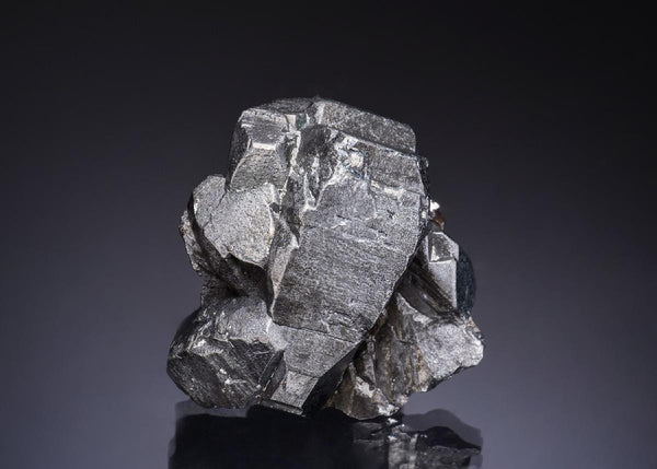 CC56270 specimen image