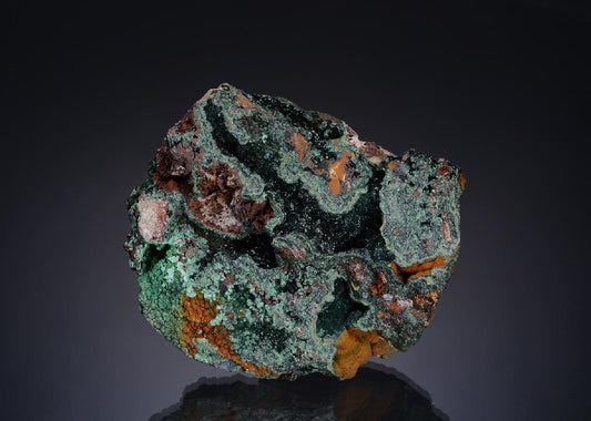 CC56274 specimen image