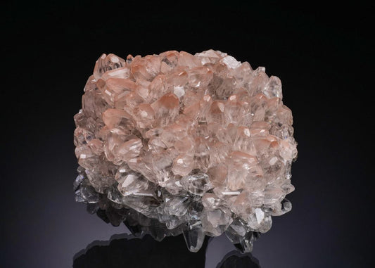 CC56292 specimen image