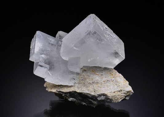CC56296 specimen image