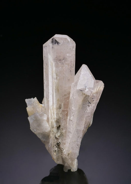 CC56298 specimen image