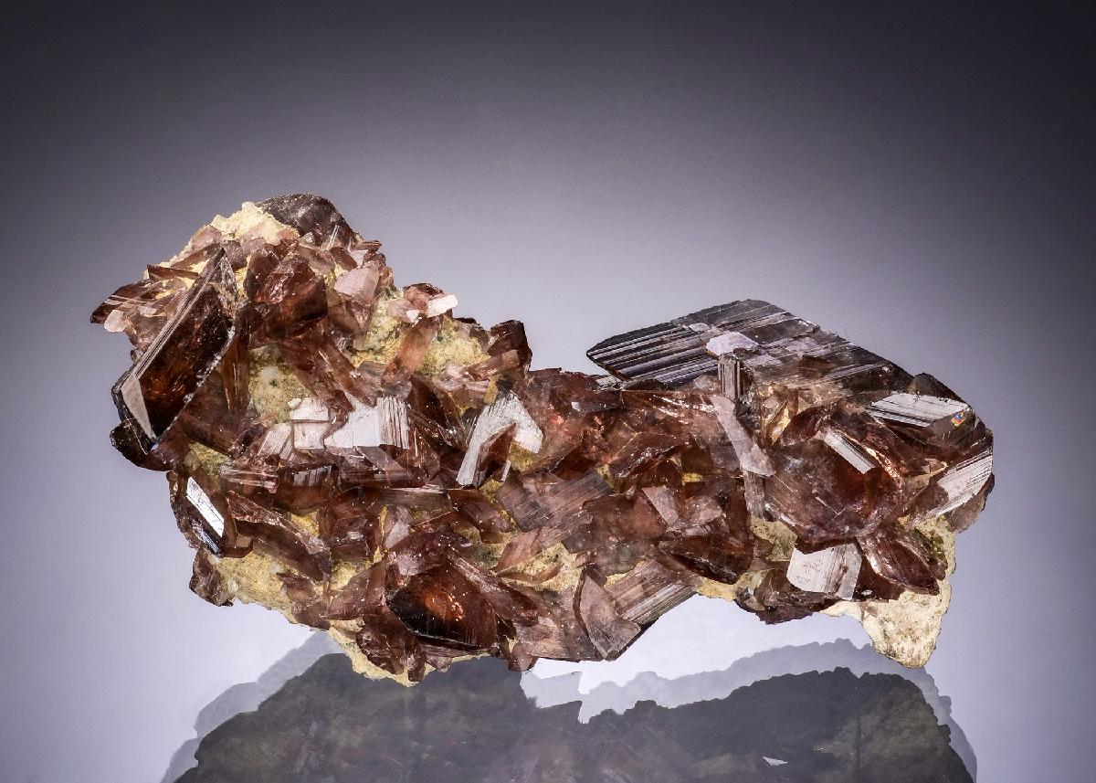 CC56316 specimen image