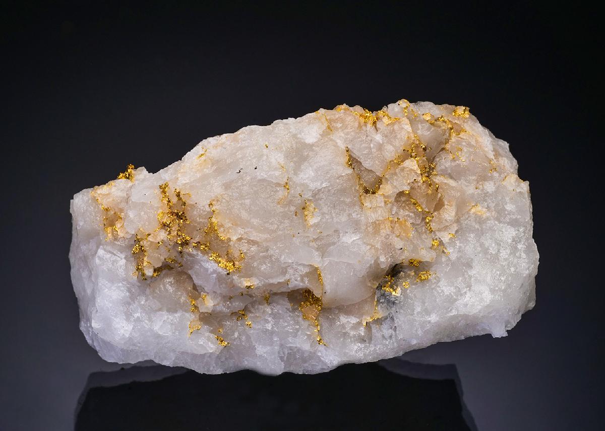 CC56320 specimen image