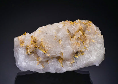 CC56320 specimen image