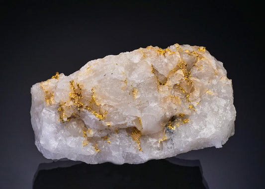 CC56320 specimen image