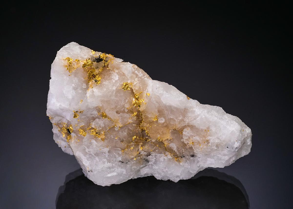 CC56322 specimen image