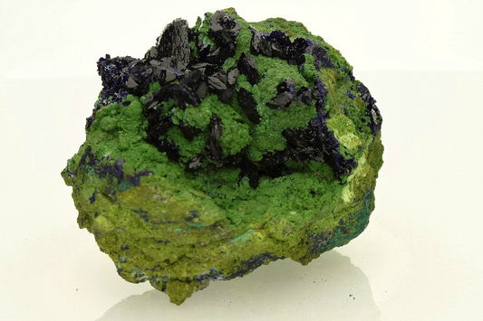 CC5633 specimen image