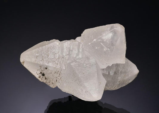 CC56330 specimen image