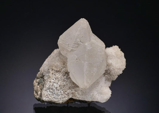 CC56332 specimen image