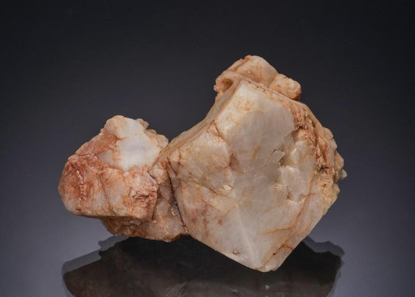 CC56334 specimen image