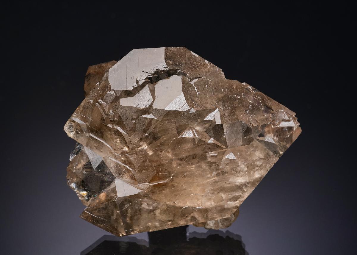 CC56348 specimen image