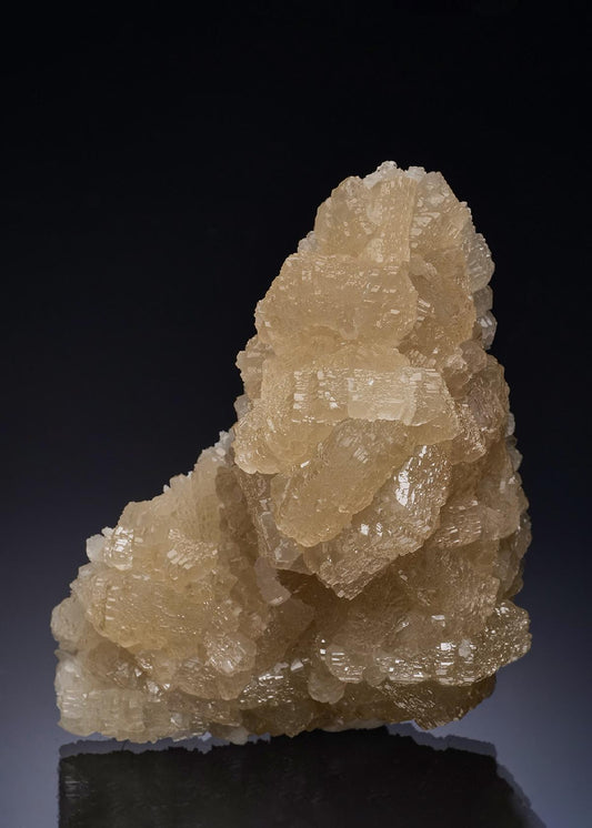 CC56352 specimen image