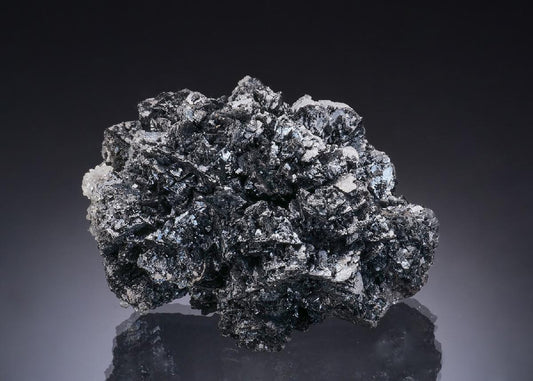 CC56370 specimen image