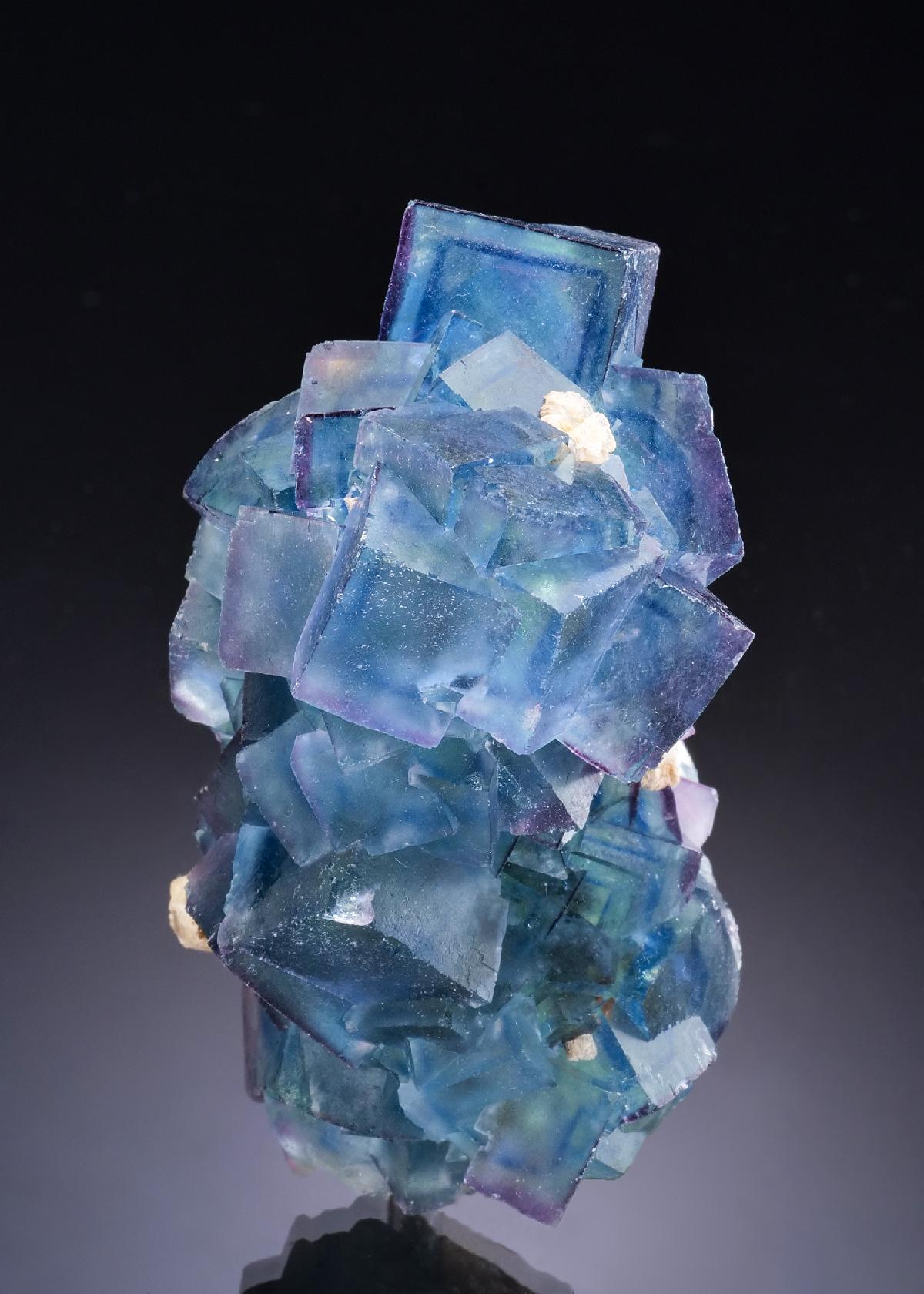 CC56372 specimen image