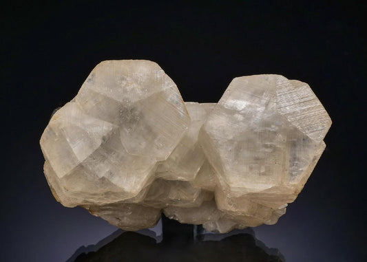 CC56390 specimen image