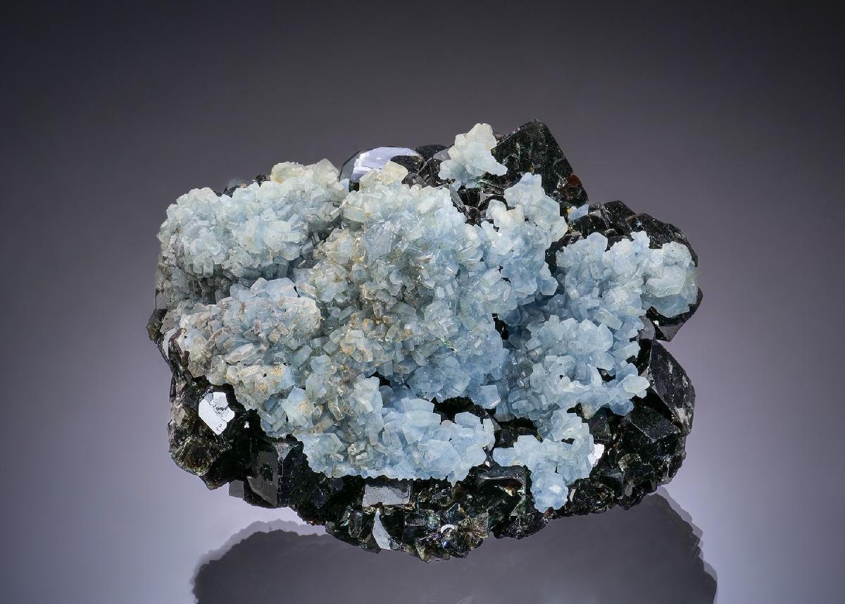 CC56394 specimen image