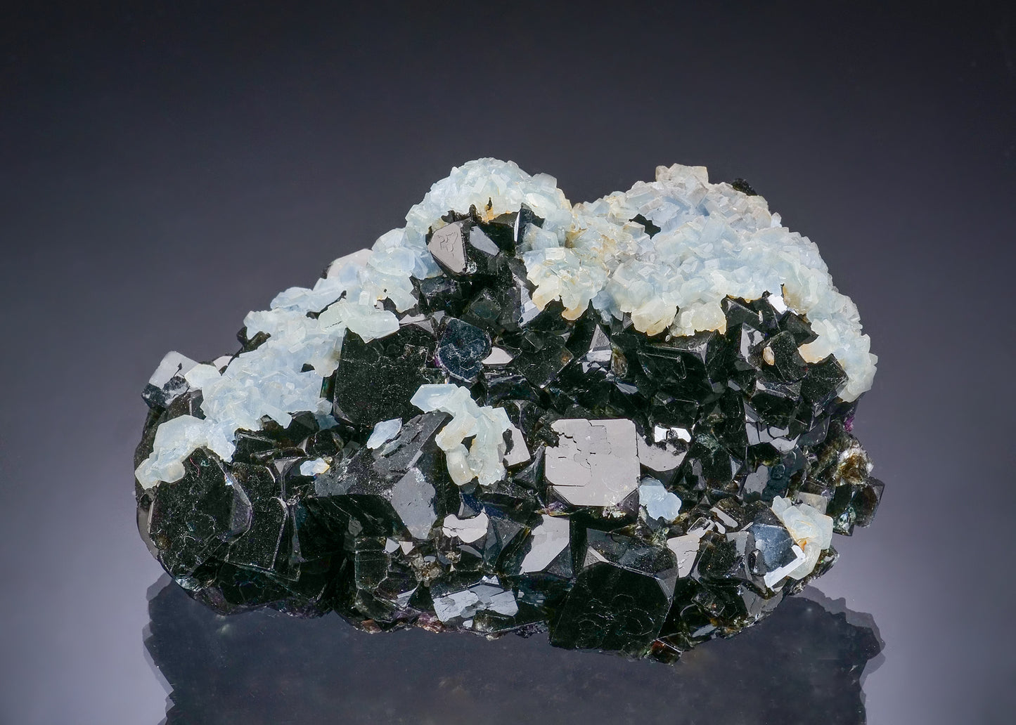 CELESTINE on FLUORITE